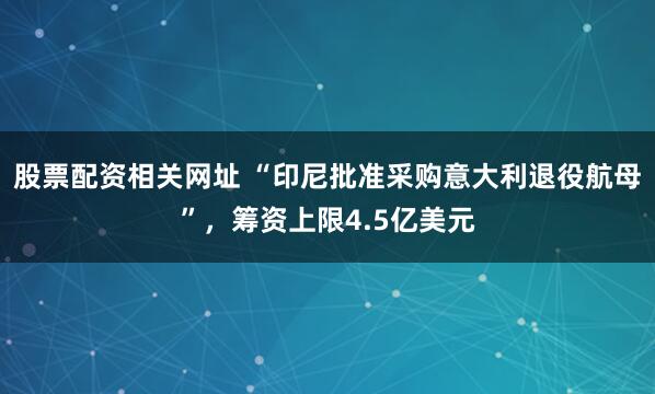 股票配资相关网址 “印尼批准采购意大利退役航母”，筹资上限4.5亿美元