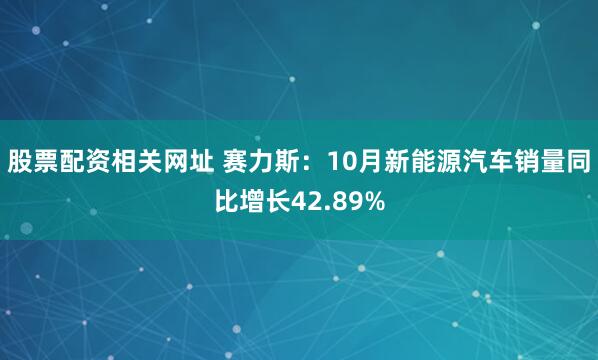 股票配资相关网址 赛力斯：10月新能源汽车销量同比增长42.89%